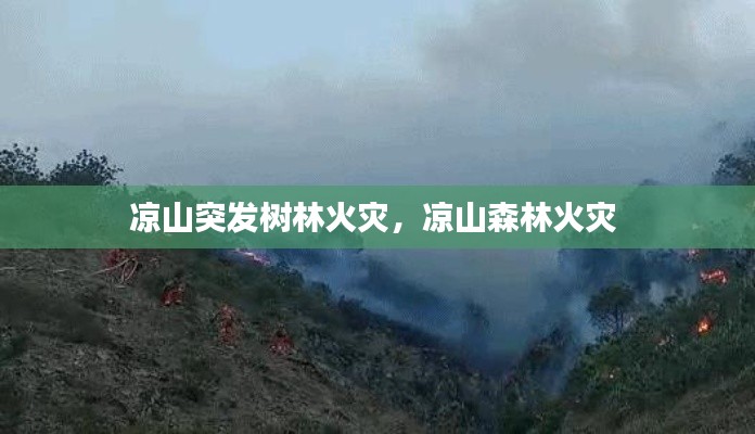 宁静致远 第5页