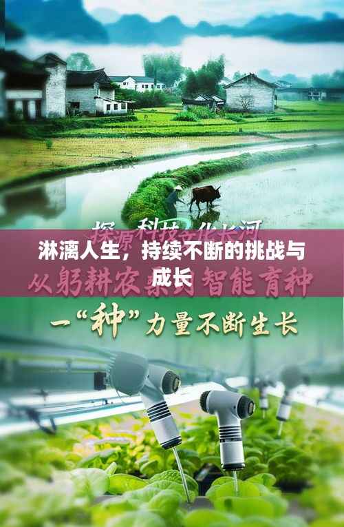 淋漓人生，持续不断的挑战与成长