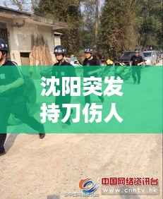 沈阳突发持刀伤人，沈阳持刀伤人案致2死7伤 