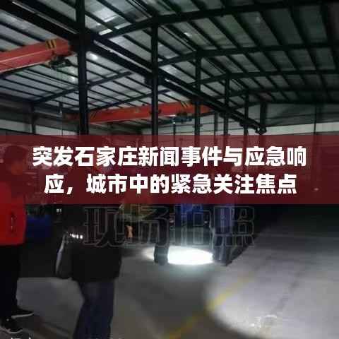 突发石家庄新闻事件与应急响应，城市中的紧急关注焦点