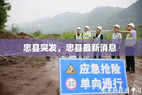 忠县突发，忠县最新消息 