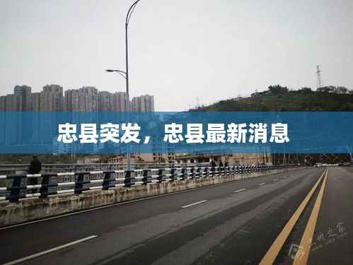 忠县突发,忠县最新消息