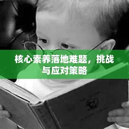 核心素养落地难题,挑战与应对策略