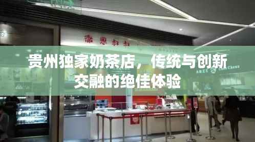 贵州独家奶茶店，传统与创新交融的绝佳体验