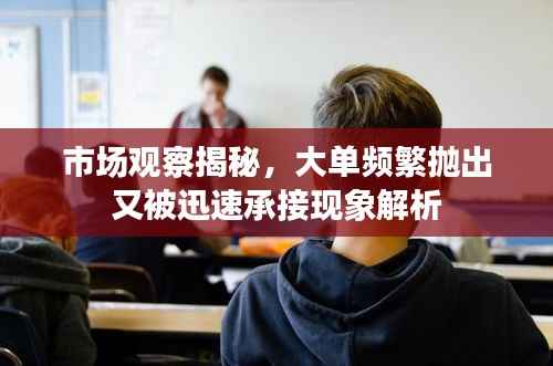 市场观察揭秘，大单频繁抛出又被迅速承接现象解析