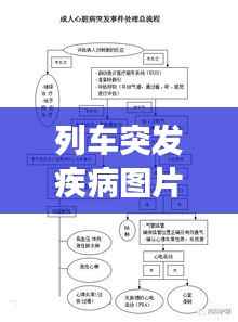 列车突发疾病图片，列车突发事件业务办理流程图 
