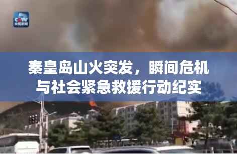 秦皇岛山火突发，瞬间危机与社会紧急救援行动纪实