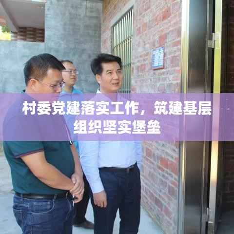 村委党建落实工作，筑建基层组织坚实堡垒