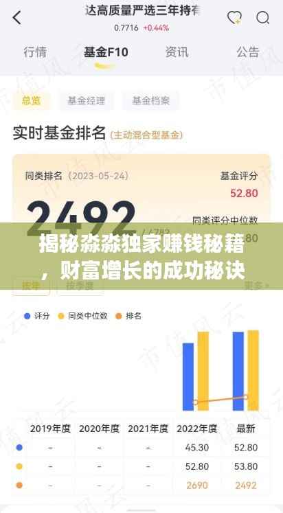 揭秘淼淼独家赚钱秘籍，财富增长的成功秘诀