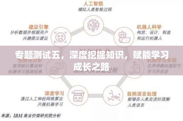 专题测试五，深度挖掘知识，赋能学习成长之路