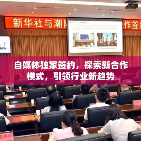 自媒体独家签约，探索新合作模式，引领行业新趋势