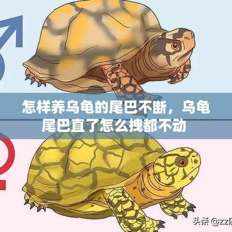 指手画脚 第5页