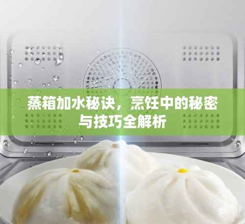 蒸箱加水秘诀，烹饪中的秘密与技巧全解析