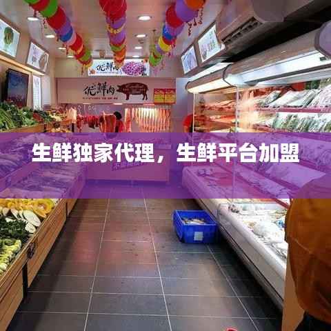 生鲜独家代理，生鲜平台加盟 