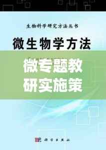 微专题教研实施策略，打造高效教学新篇章