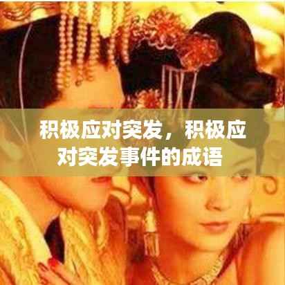 积极应对突发，积极应对突发事件的成语 