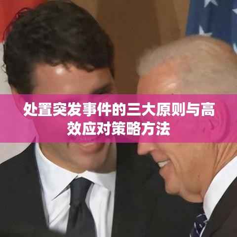 处置突发事件的三大原则与高效应对策略方法