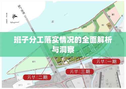 班子分工落实情况的全面解析与洞察