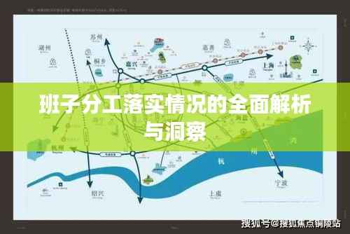 班子分工落实情况的全面解析与洞察