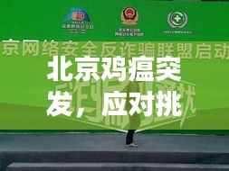 北京鸡瘟突发，应对挑战，守护健康安全