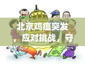 北京鸡瘟突发,应对挑战,守护健康安全