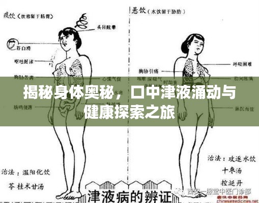 揭秘身体奥秘，口中津液涌动与健康探索之旅