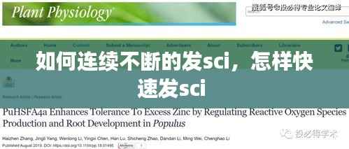 如何连续不断的发sci，怎样快速发sci 