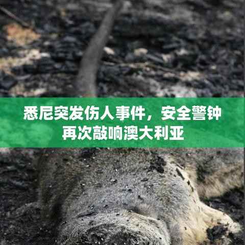 群雌粥粥 第5页