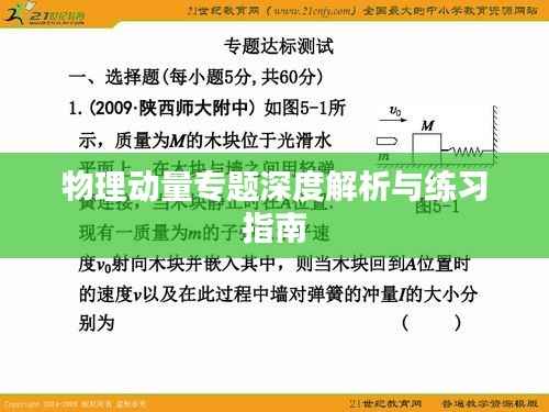 物理动量专题深度解析与练习指南