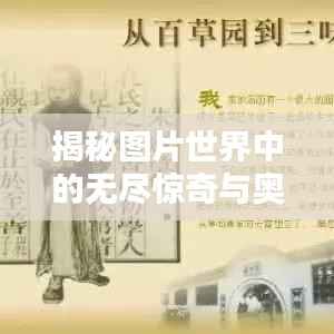 揭秘图片世界中的无尽惊奇与奥秘探索