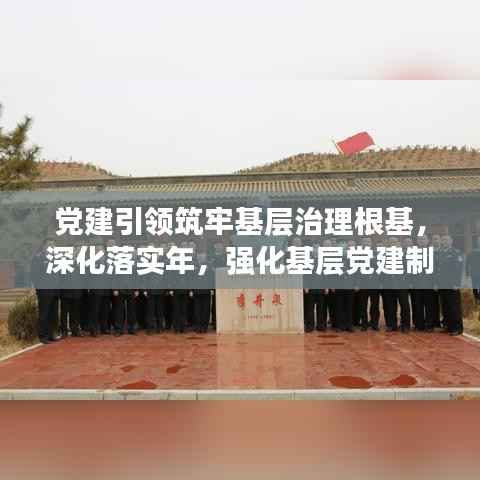 党建引领筑牢基层治理根基，深化落实年，强化基层党建制度执行力