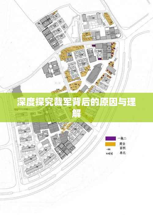 深度探究裁军背后的原因与理解