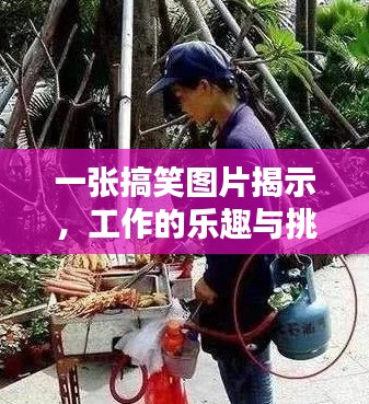 一张搞笑图片揭示，工作的乐趣与挑战并存