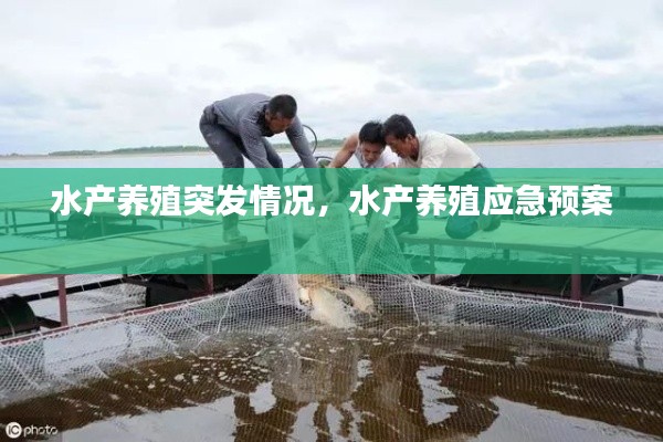 水产养殖突发情况，水产养殖应急预案 