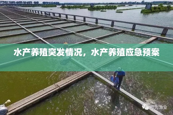 水产养殖突发情况,水产养殖应急预案