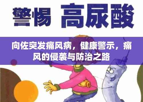 向佐突发痛风病，健康警示，痛风的侵袭与防治之路