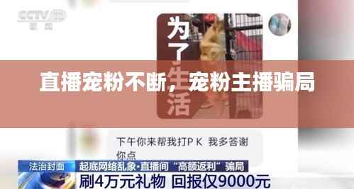 直播宠粉不断，宠粉主播骗局 