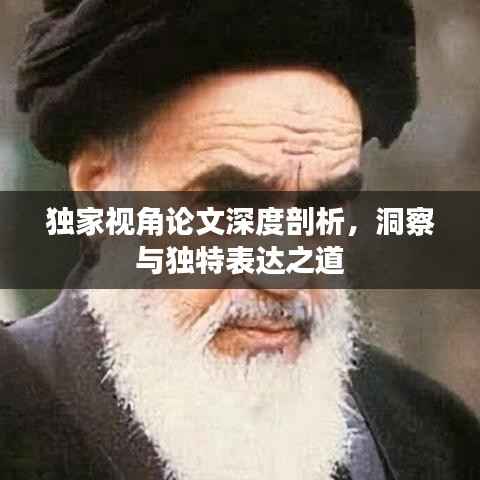 独家视角论文深度剖析，洞察与独特表达之道
