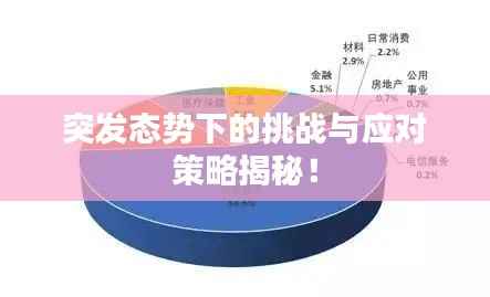 突发态势下的挑战与应对策略揭秘!