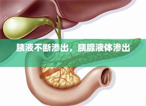 胰液不断渗出，胰腺液体渗出 