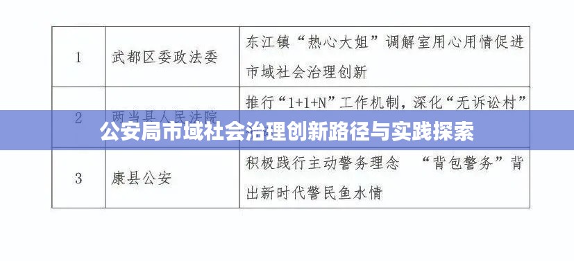 公安局市域社会治理创新路径与实践探索