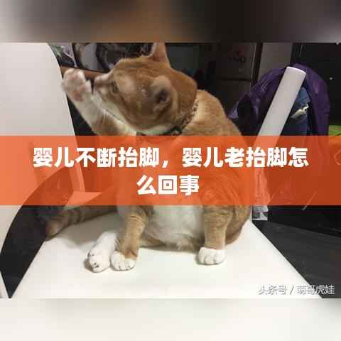 马马虎虎 第5页