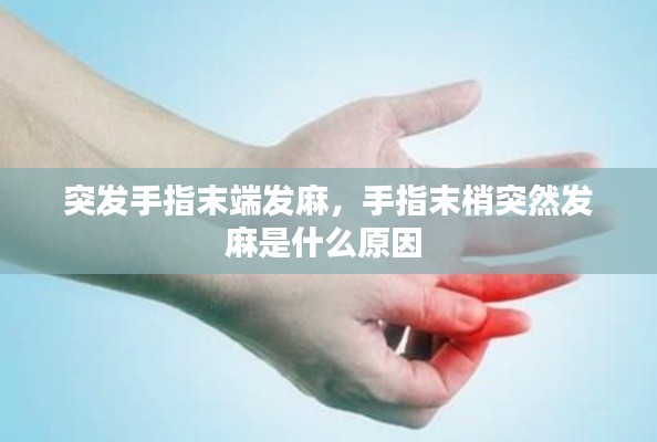 突发手指末端发麻,手指末梢突然发麻是什么原因