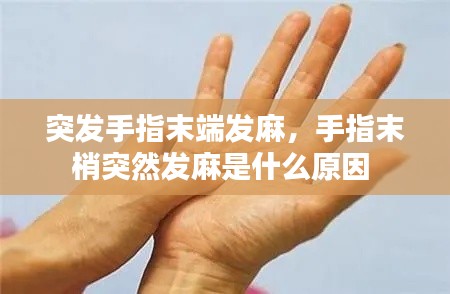 突发手指末端发麻,手指末梢突然发麻是什么原因