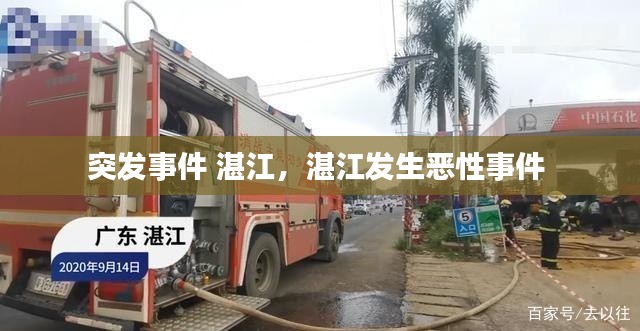 突发事件 湛江，湛江发生恶性事件 