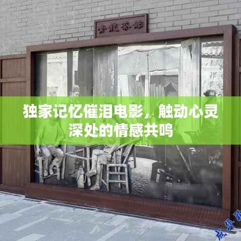 独家记忆催泪电影，触动心灵深处的情感共鸣