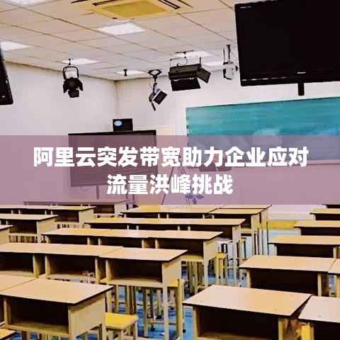 阿里云突发带宽助力企业应对流量洪峰挑战
