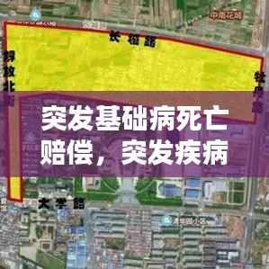 突发基础病死亡赔偿,突发疾病死亡补偿协议