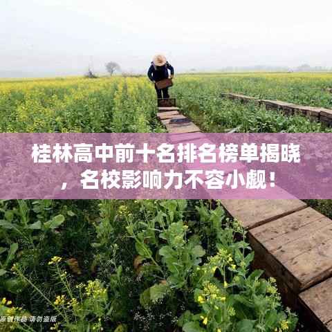 桂林高中前十名排名榜单揭晓，名校影响力不容小觑！