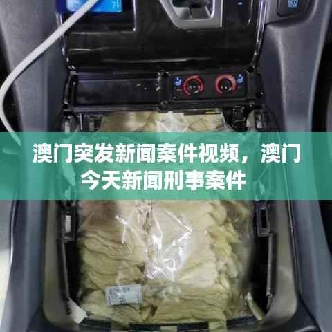 澳门突发新闻案件视频，澳门今天新闻刑事案件 